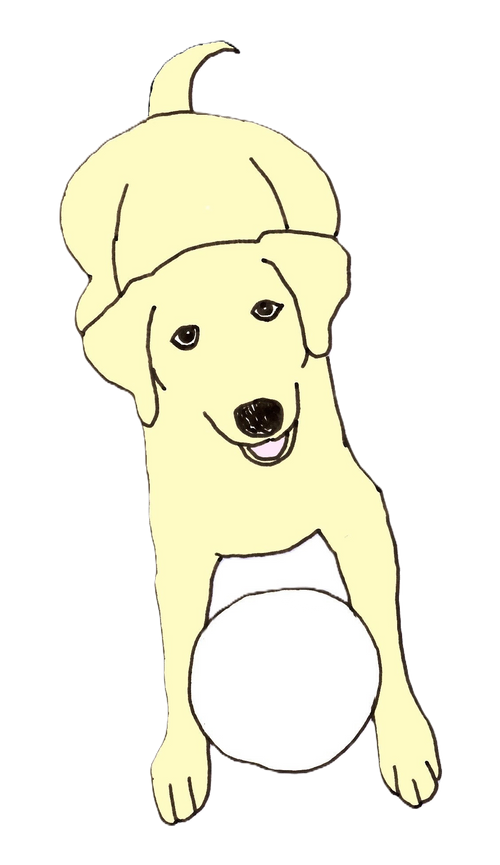 Yellow Dog Shop